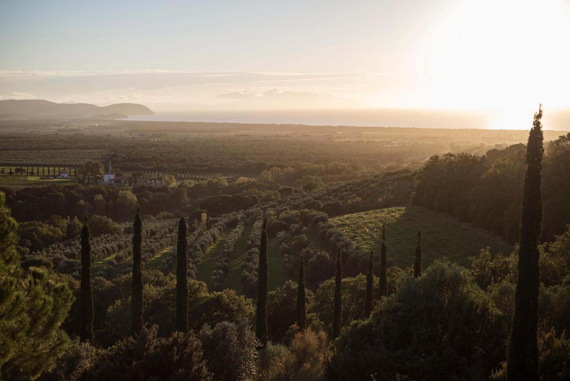 Boutique Hotel Poggio Ai Santi - Adults Only San Vincenzo Exterior photo