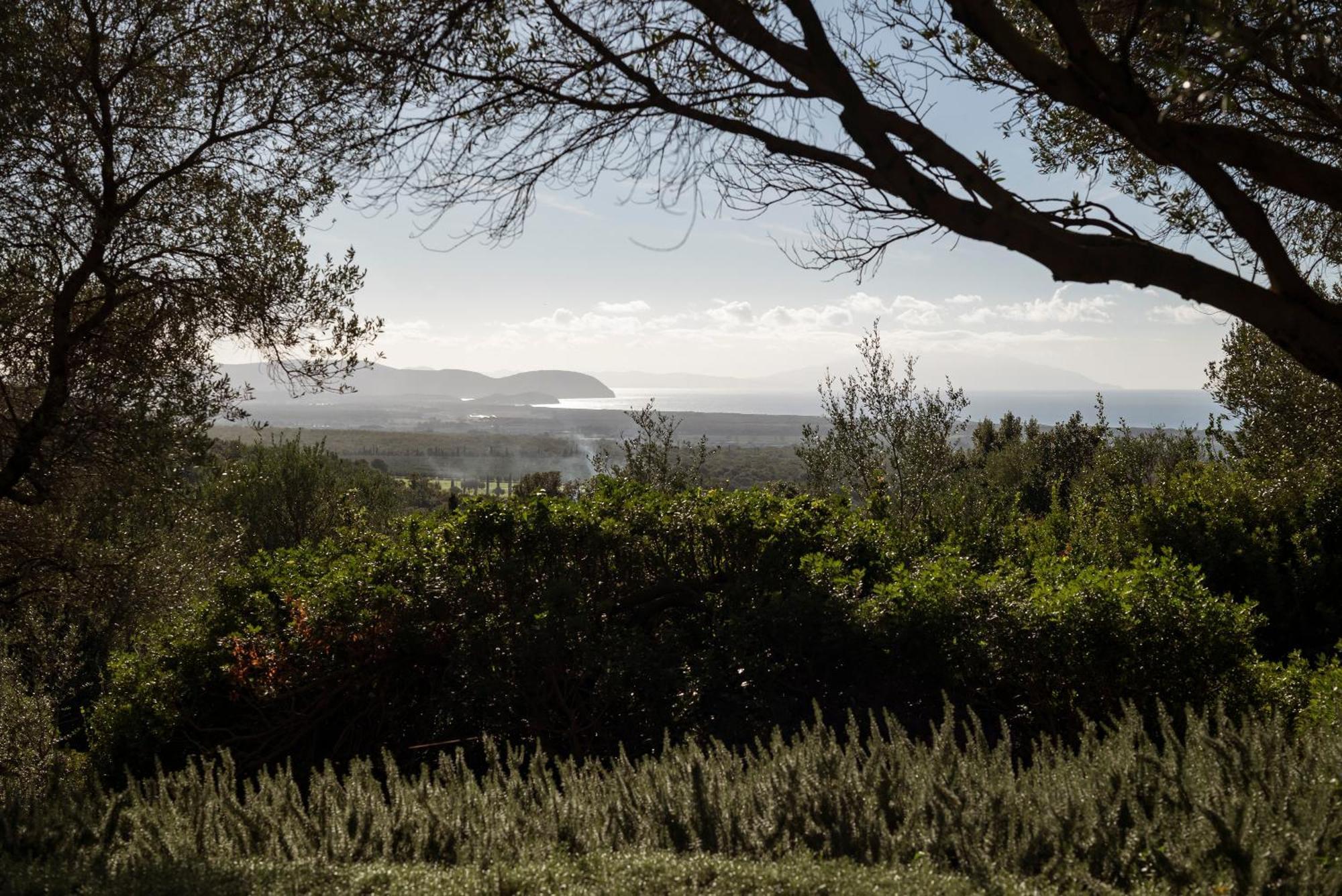 Boutique Hotel Poggio Ai Santi - Adults Only San Vincenzo Exterior photo