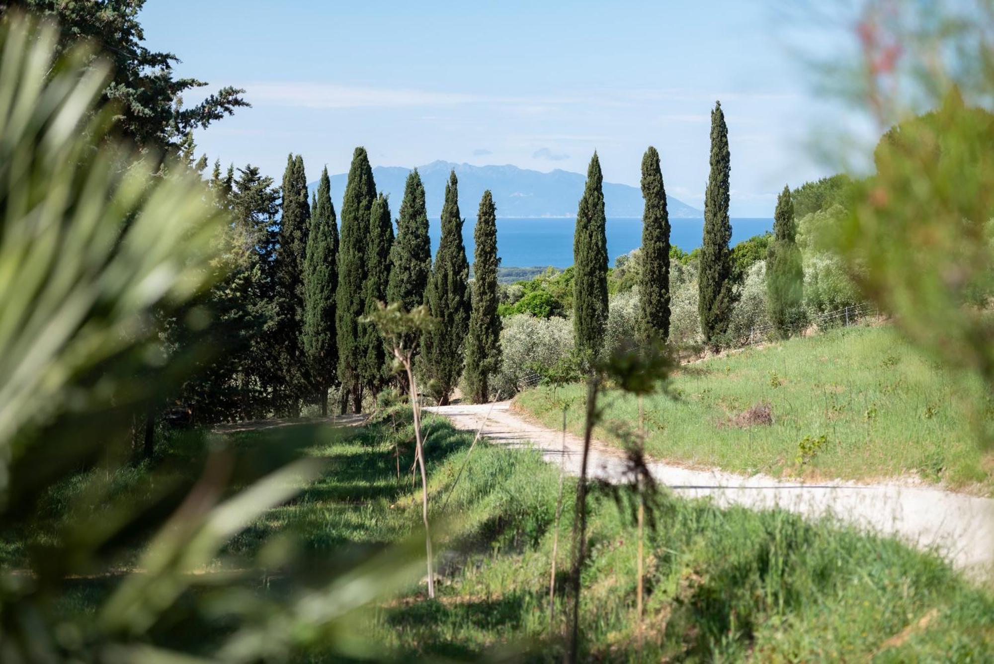 Boutique Hotel Poggio Ai Santi - Adults Only San Vincenzo Exterior photo